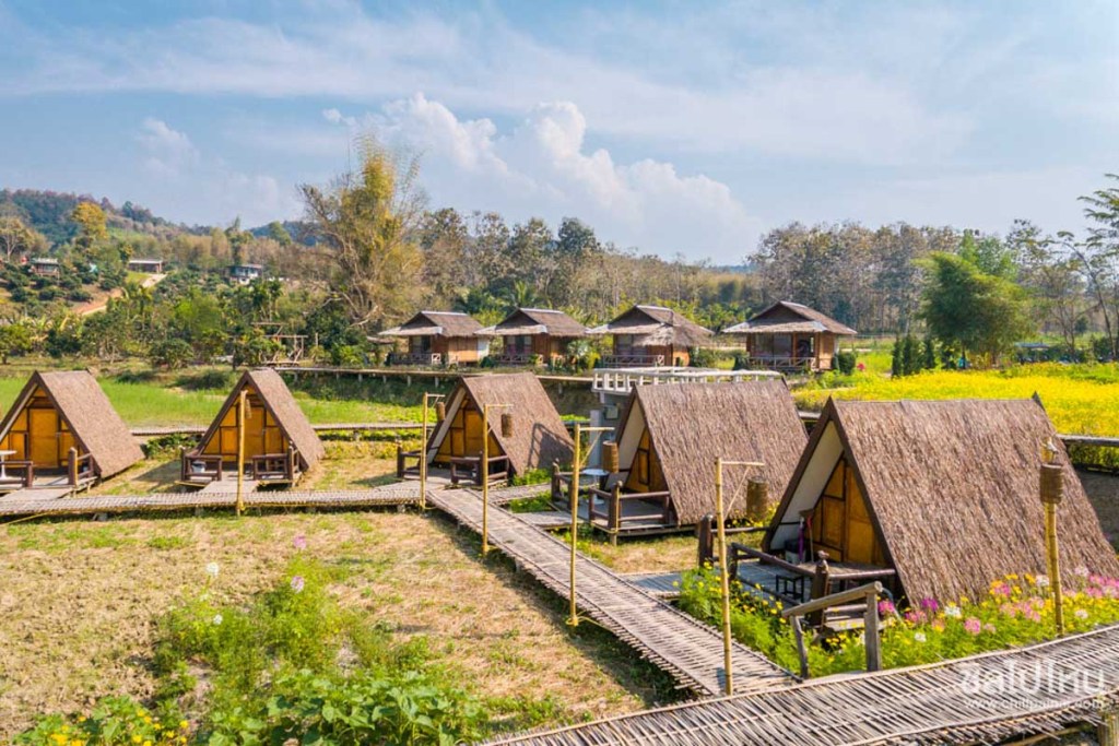 Thai Homestays