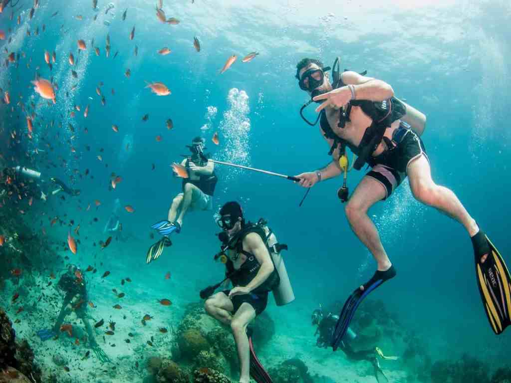 Koh Tao: A Mecca for Underwater Enthusiasts
