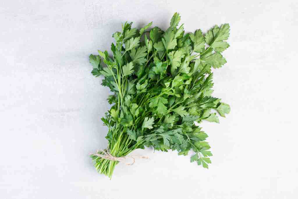 Coriander (Pak Chee): The Fresh Finale