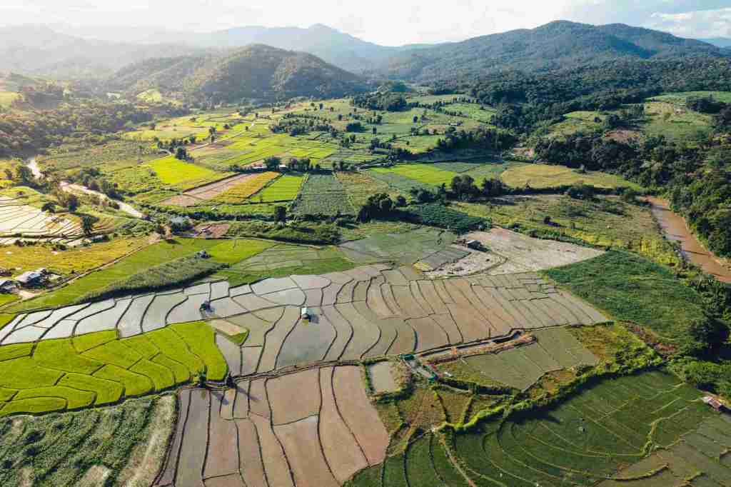 Pai - The Bohemian Haven