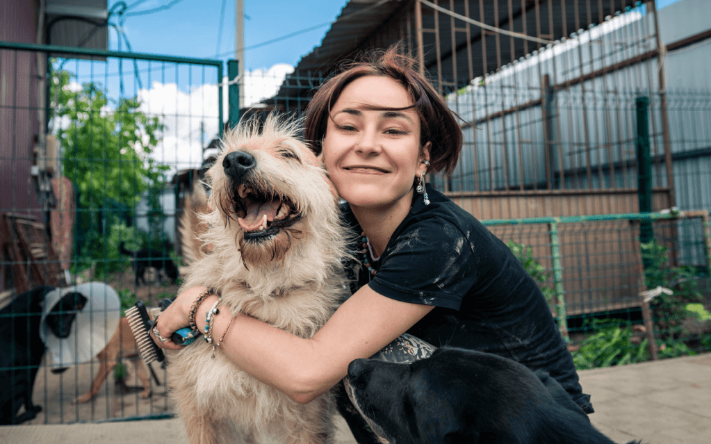 Adopting vs. Buying Pets